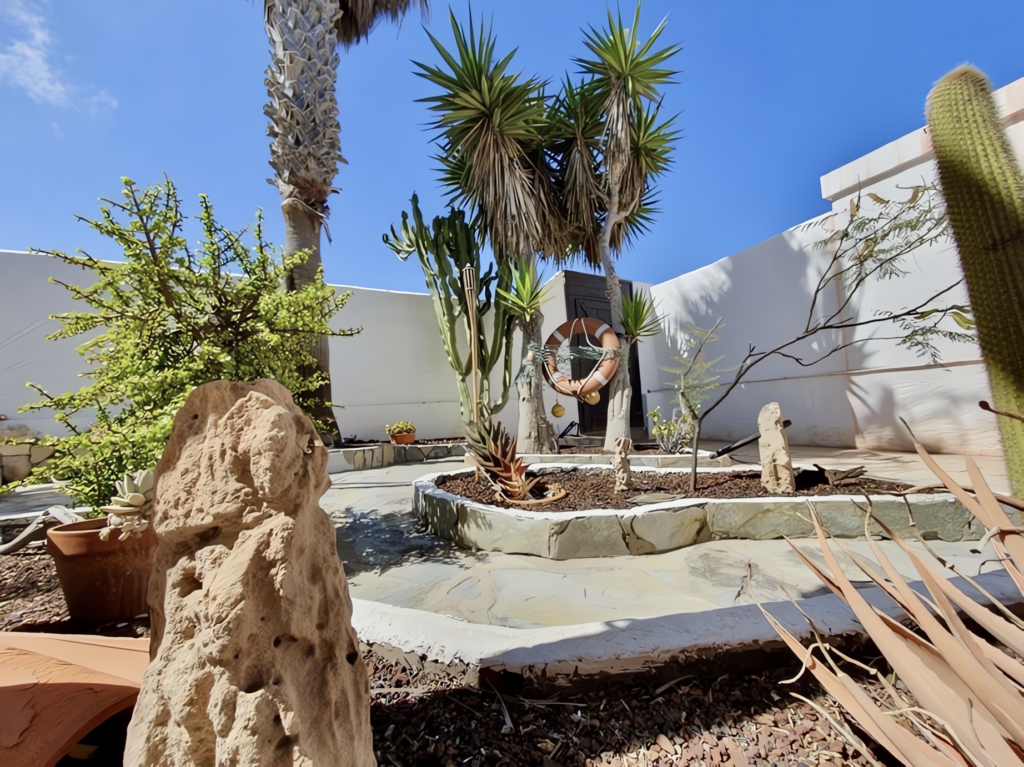 Ein Garten mit verschiedenen Pflanzen, darunter Palmen und Kakteen, sowie einem kleinen Wasserbecken.
