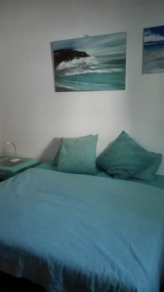 Ein Bett mit blauen Kissen und einer Decke in einem Raum mit Wandbildern.
