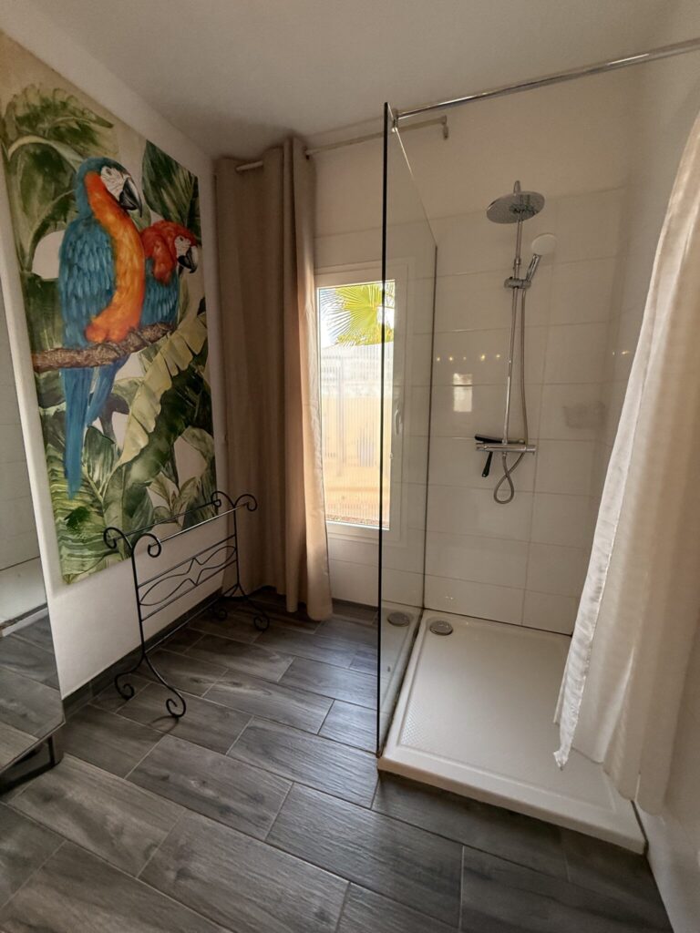 Badezimmer mit Dusche und Wandmalerei Badezimmer mit einer modernen Dusche und einer bunten Wandmalerei von zwei Papageien.